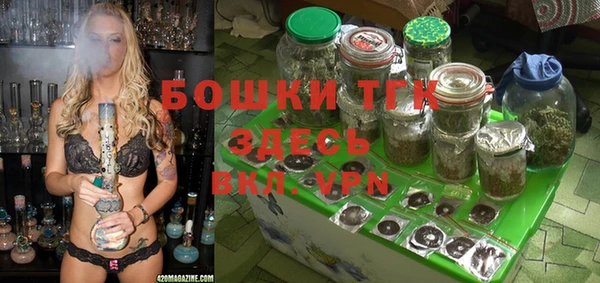 гидра Алексеевка