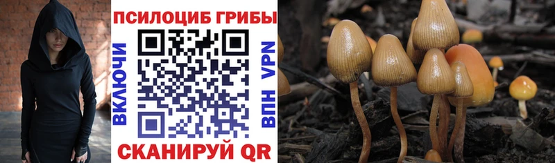 Псилоцибиновые грибы MAGIC MUSHROOMS  цена   Новоуральск 